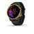 Venu, Gold Stainless Steel Bezel with Black Case and Silicone Band
